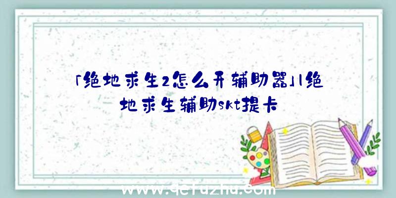 「绝地求生2怎么开辅助器」|绝地求生辅助skt提卡